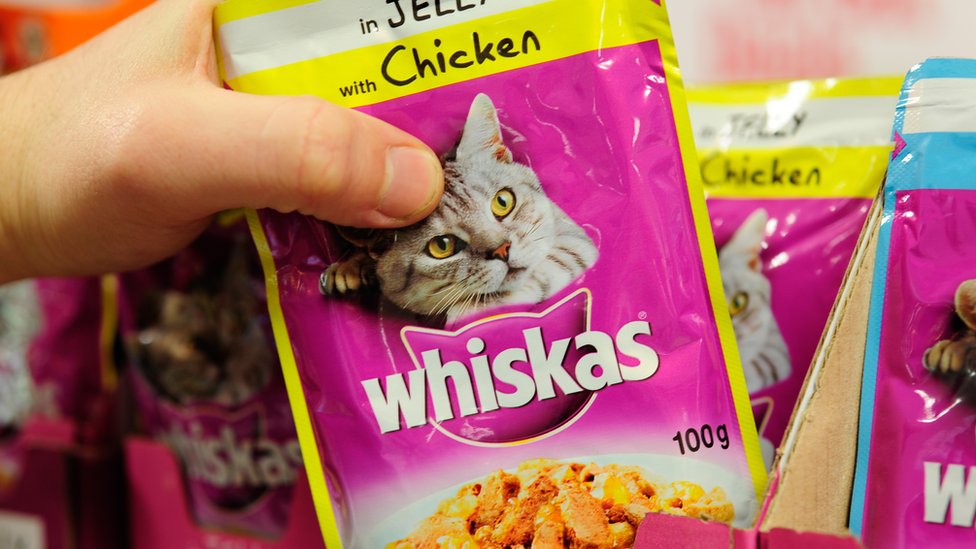 Whiskas and Pedigree Are Pioneering Pet Nutrition Solutions