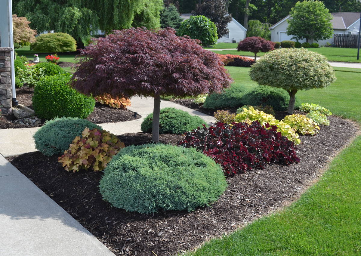 How to Launch a Landscape Design Project