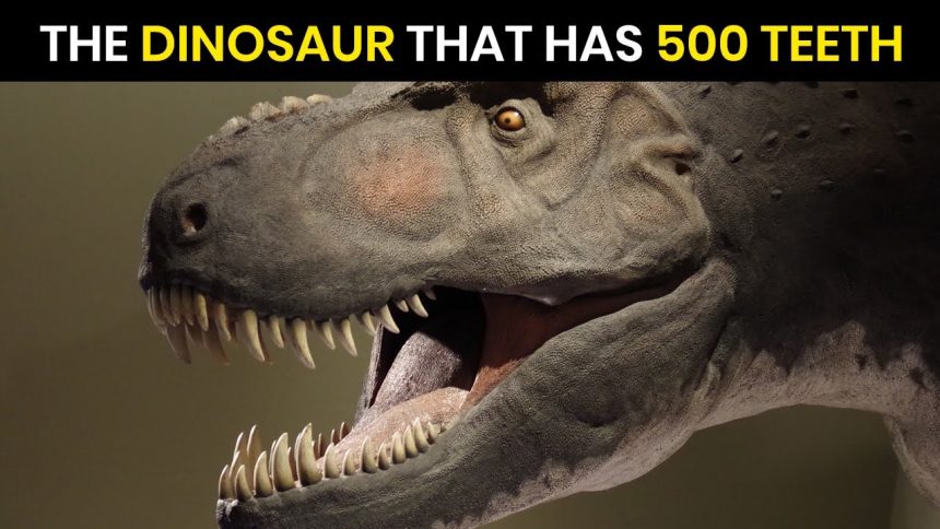 Dinosaur has 500 teeth