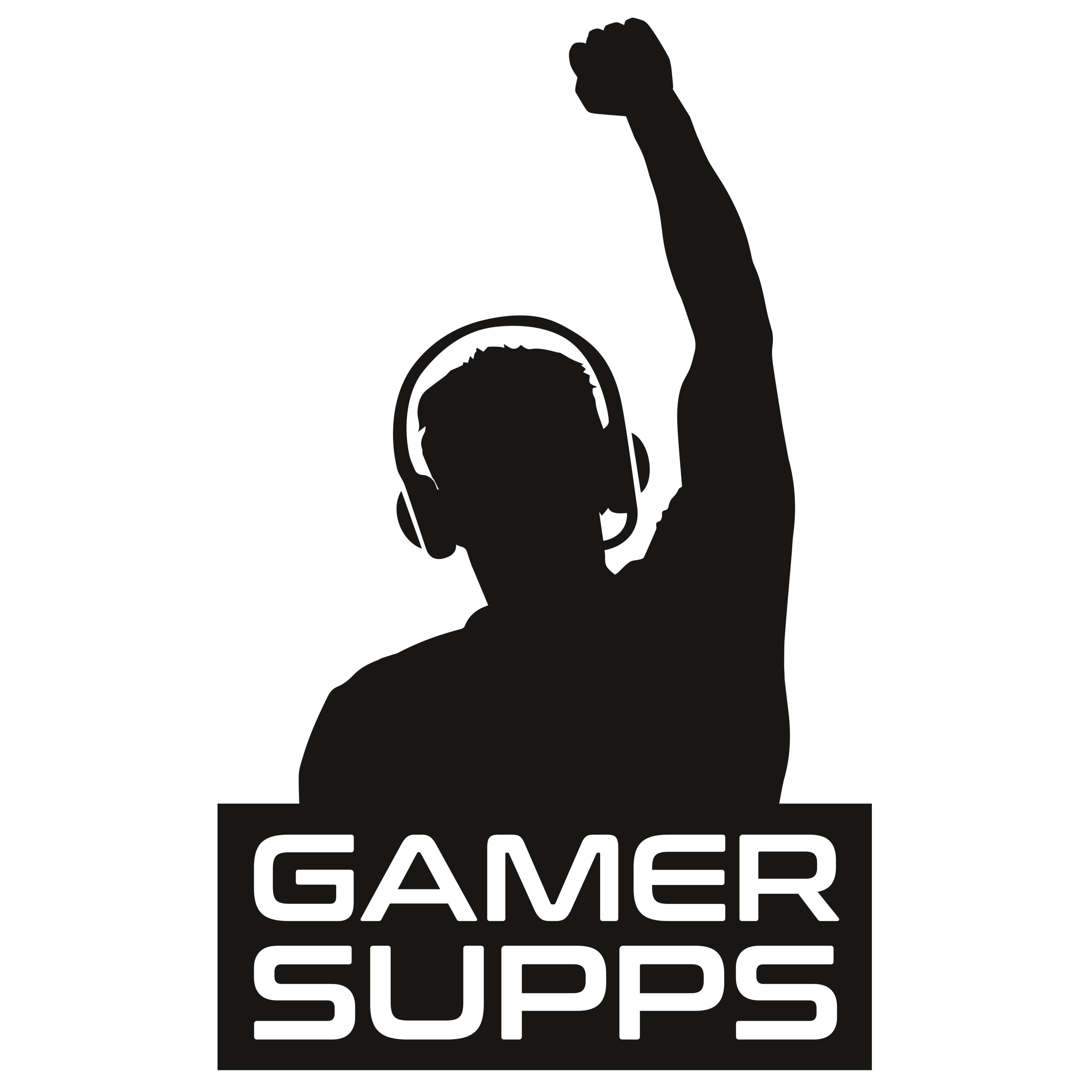 Who owns GamerSupps? The company’s ownership and controversies